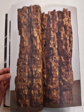 Ursula Von Rydingsvard: Sculptures