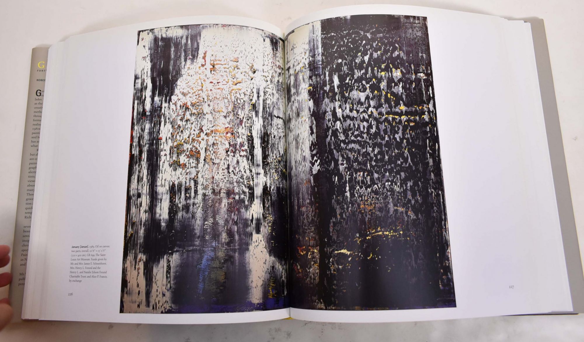 Gerhard Richter: Forty Years of Painting | Robert Storr