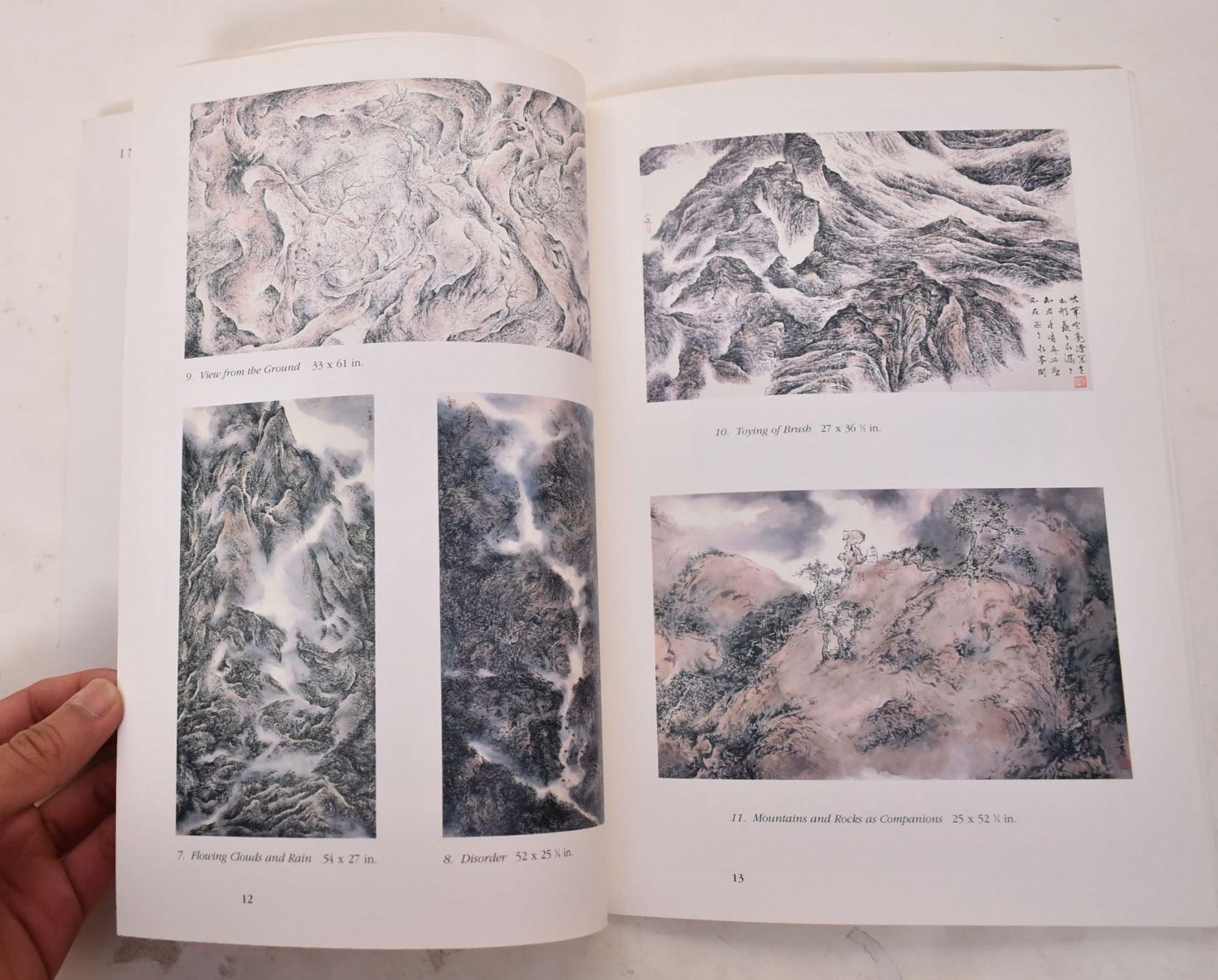The Paintings of Zeng Xiaojun | L. J Wender