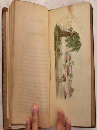 China: Its Costume, Arts, Manufactures &c. Edited principally from Originals in the Cabinet of the late M. Bertin: with Observations, explanatory, historical, and literary by M. Berton. Translated from the French