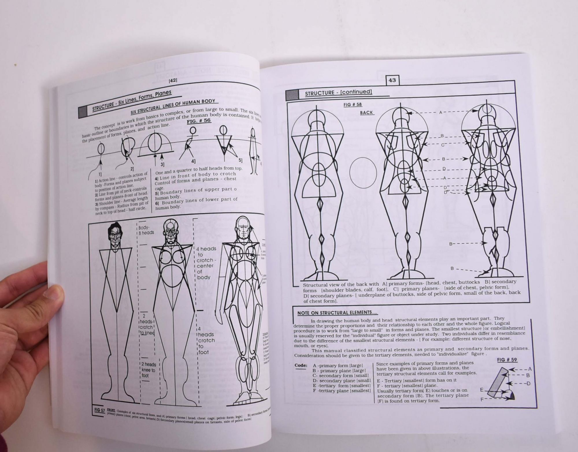 The Artist's Atelier: Reference Guide to Structural Concepts and ...