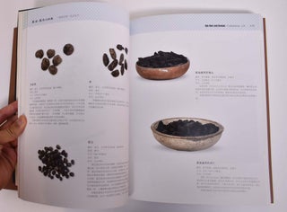 Qin-Han and Roman Civilizations