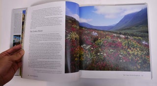 Kirstenbosch: The Most Beautiful Garden in Africa