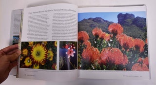 Kirstenbosch: The Most Beautiful Garden in Africa