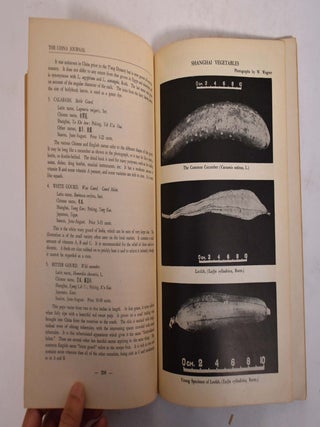 The China Journal: November, 1940 Vol. XXXIII, No. 5