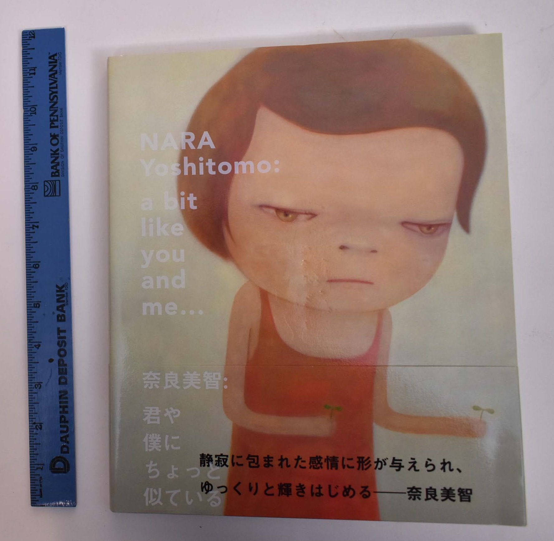 Nara Yoshitomo: A Bit Like You and Me by Matsue Kato, Nara Yoshitomo on  Mullen Books