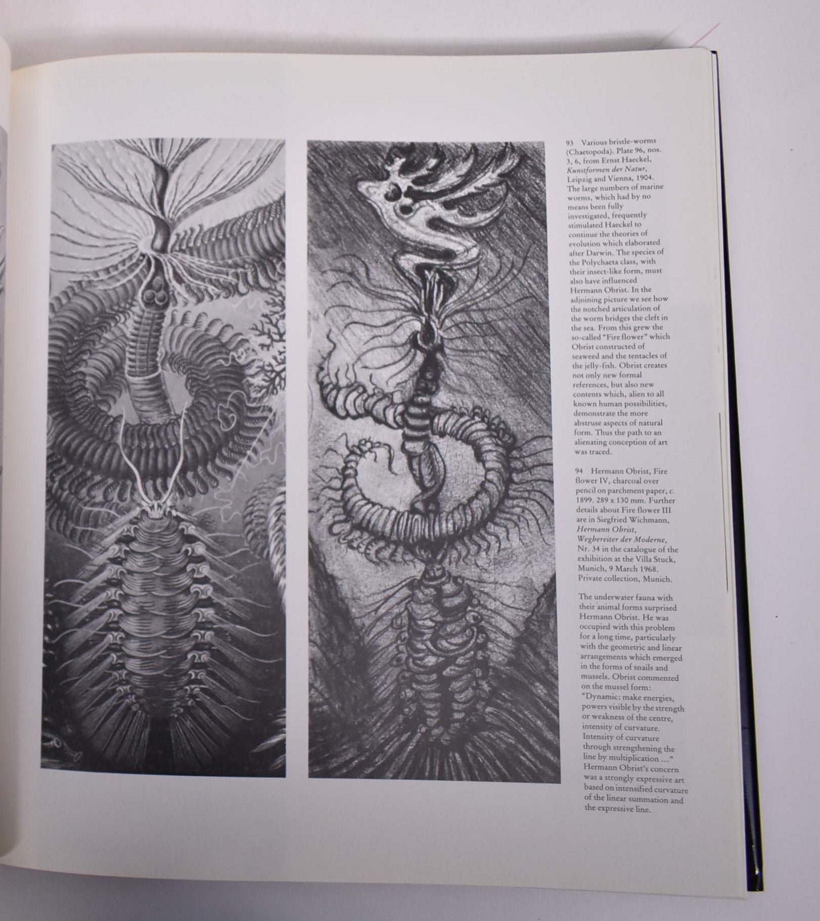 Jugendstil Art Nouveau: Floral and Functional Forms | Siegfried