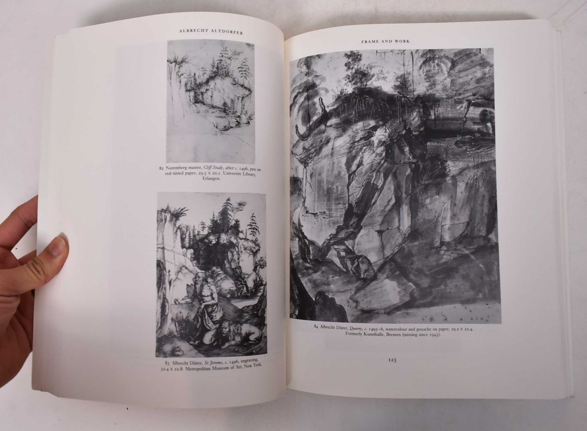 Albrecht Altdorfer and the Origins of Landscape | Christopher Wood