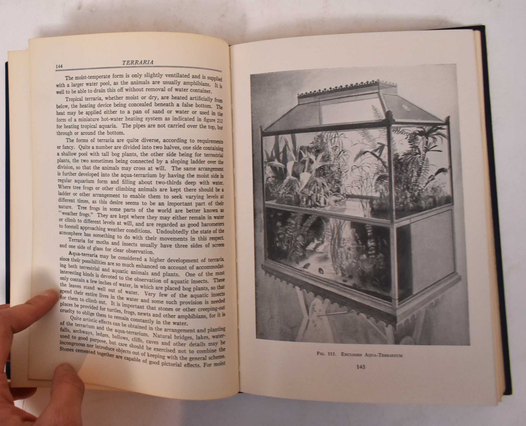 Goldfish Varieties and Tropical Aquarium Fishes: A Guide to Aquaria and ...