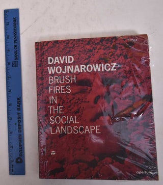 Item #170041 David Wojnarowicz: Brush Fires in the Social Landscape. Lucy R. Lippard