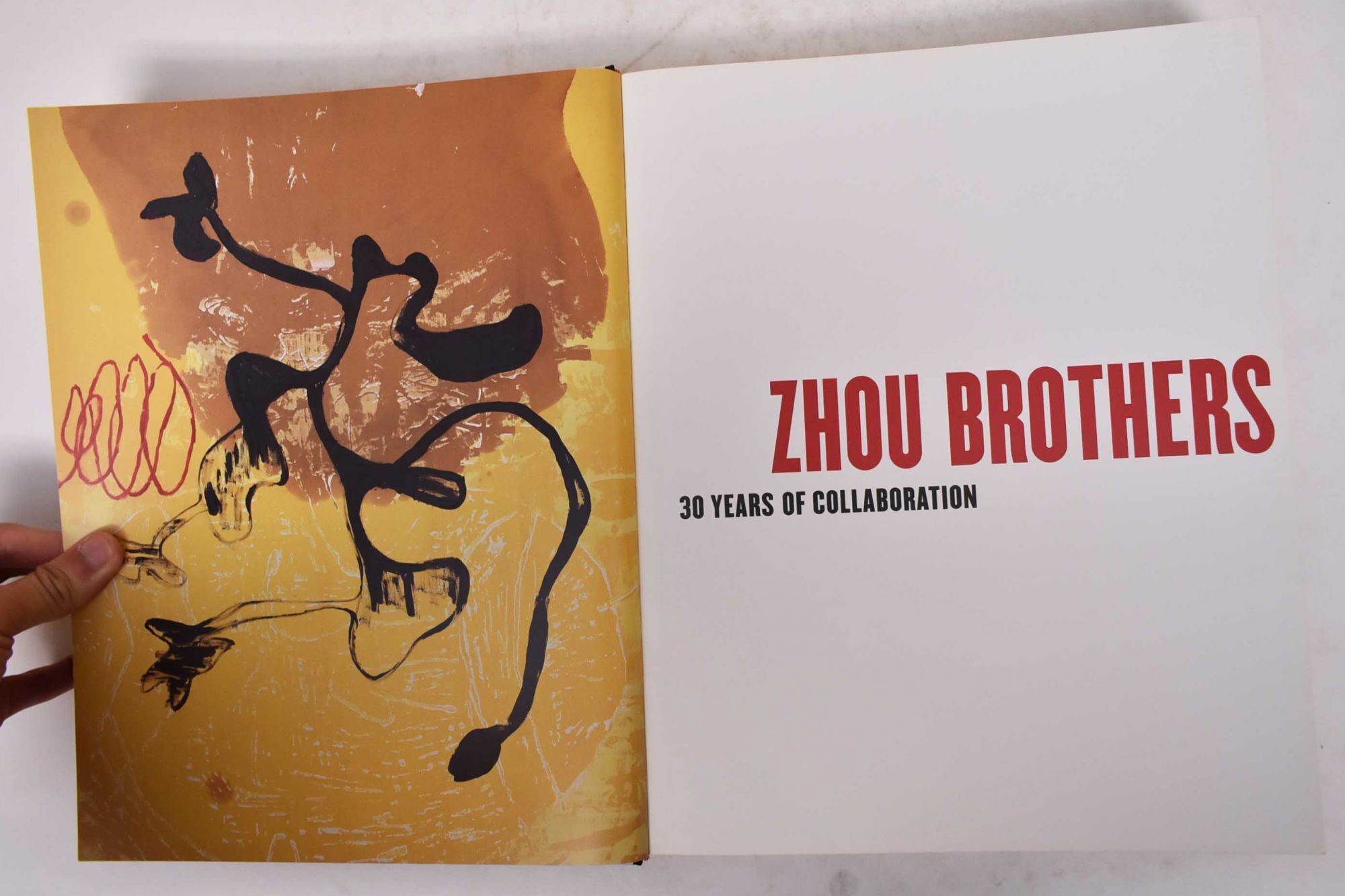 Zhou Brothers: 30 Years of Collaboration | Kuiyi Shen