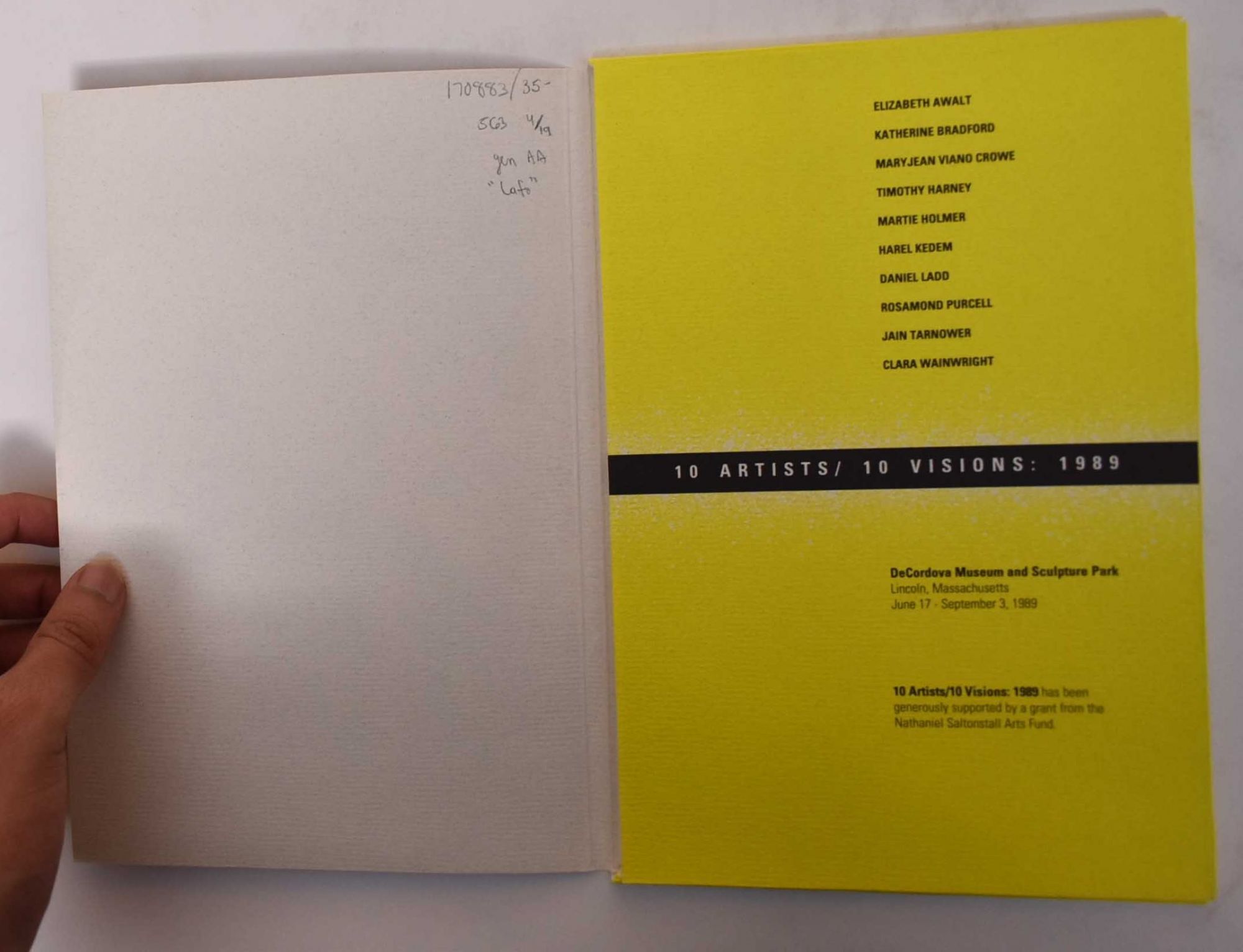 10 Artists/10 Visions: 1989 | Rachel Rosenfield Lafo