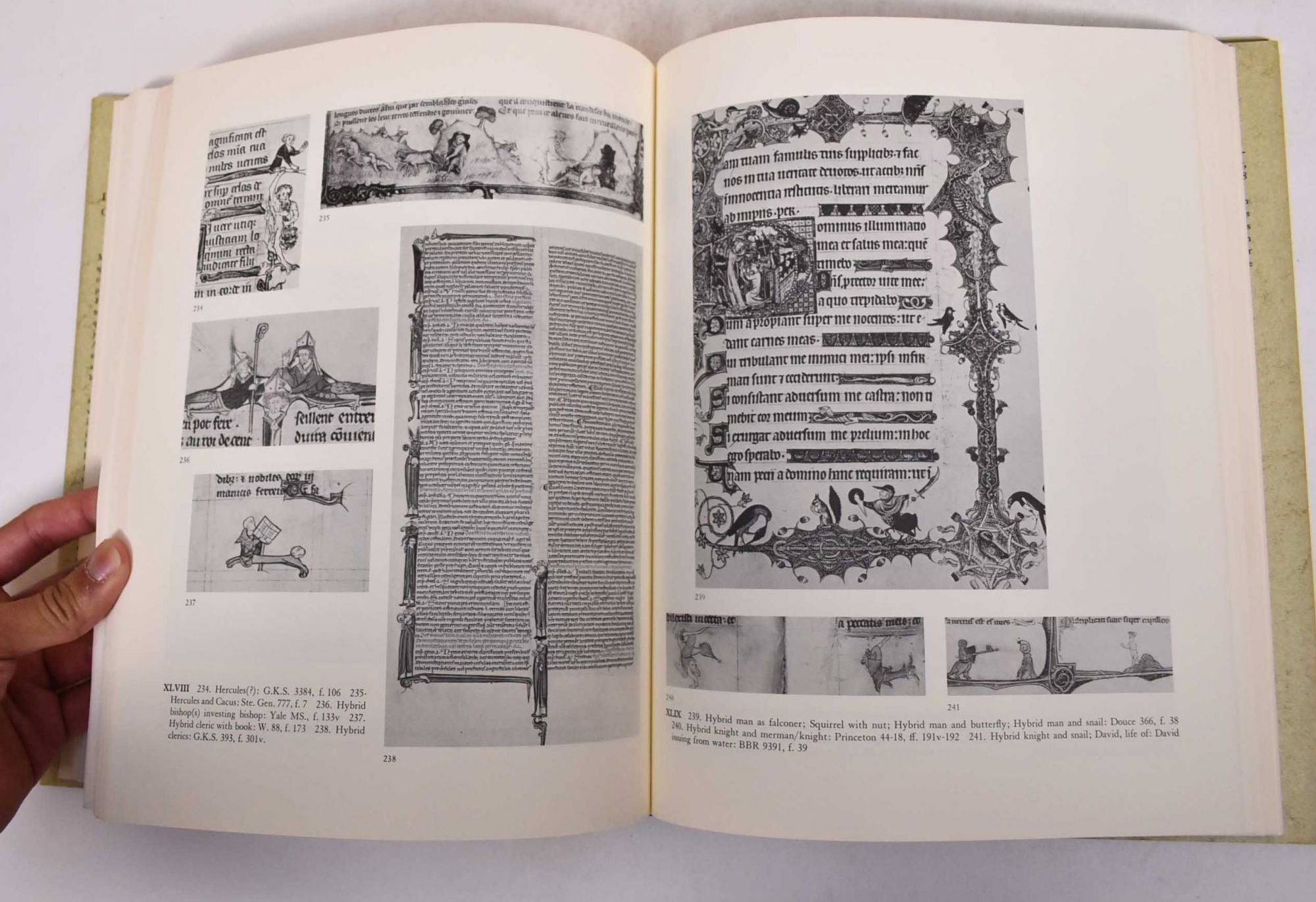 Images in the Margins of Gothic Manuscripts by Lilian M. C Randall on  Mullen Books
