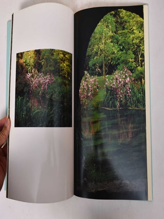 The Garden of Ninfa