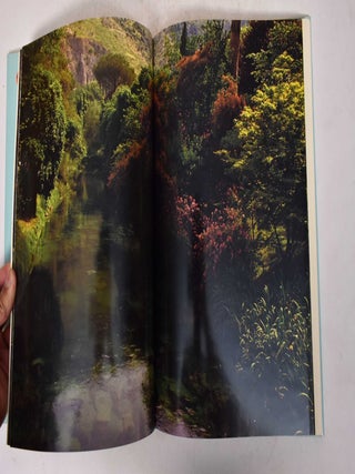 The Garden of Ninfa