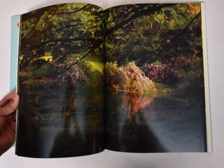 The Garden of Ninfa