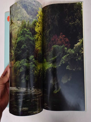 The Garden of Ninfa