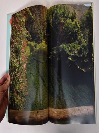 The Garden of Ninfa