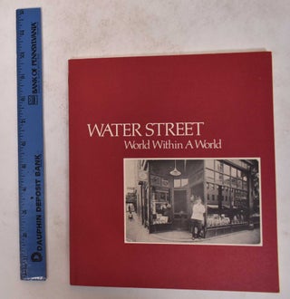 Item #171518 Water Street: World Within a World. Norma Feingold, Nancy Sadick