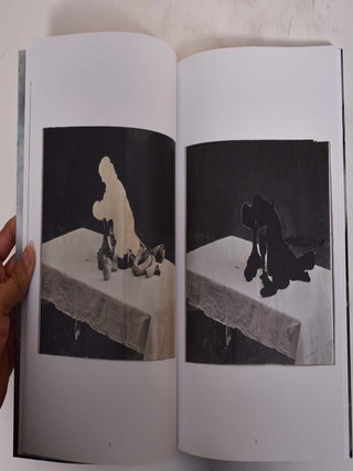 For Your Pleasure: Johannes Brus in San Francisco: Photoworks and Sculptures