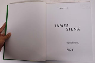 James Siena: Paintings
