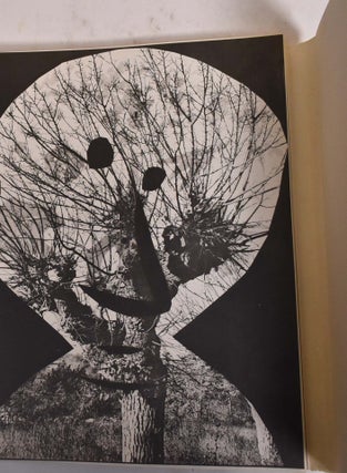 Diurnes: Decoupages et Photographies