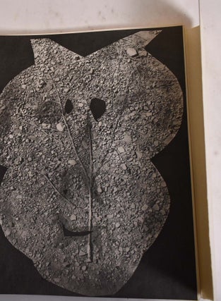 Diurnes: Decoupages et Photographies