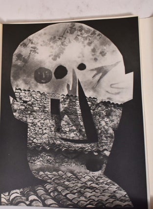 Diurnes: Decoupages et Photographies