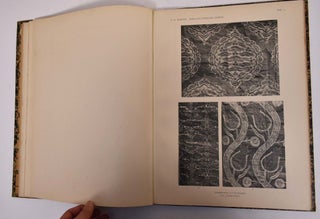 Morgenlandische Stoffe in der Sammlung F. R. Martin 15 Tafeln Nebst Text