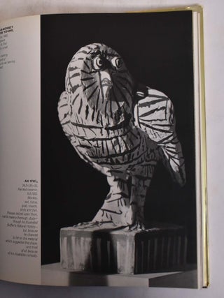 Picasso