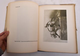 The Work of Maier-Krieg