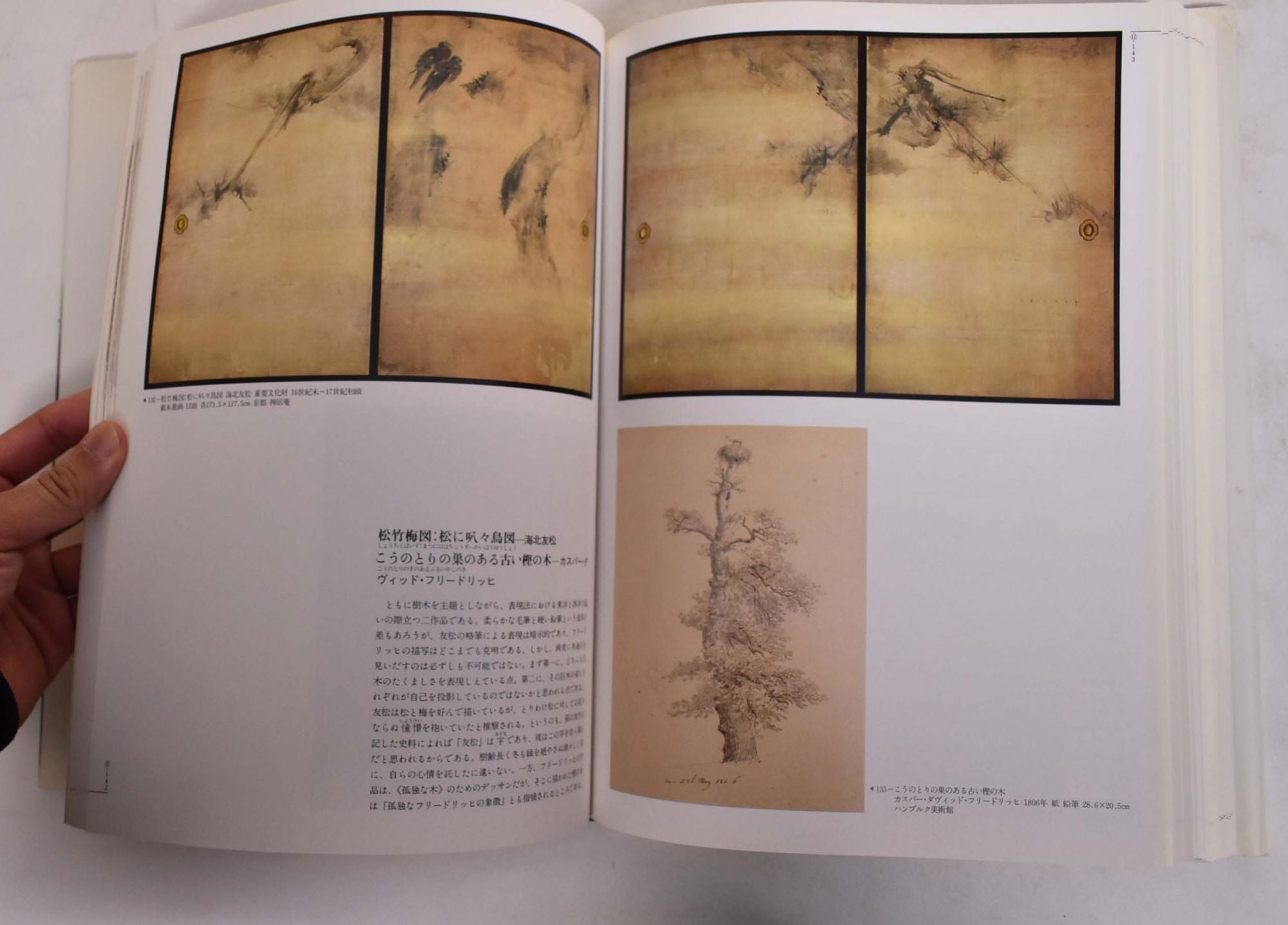 History of Japanese Art [Book]