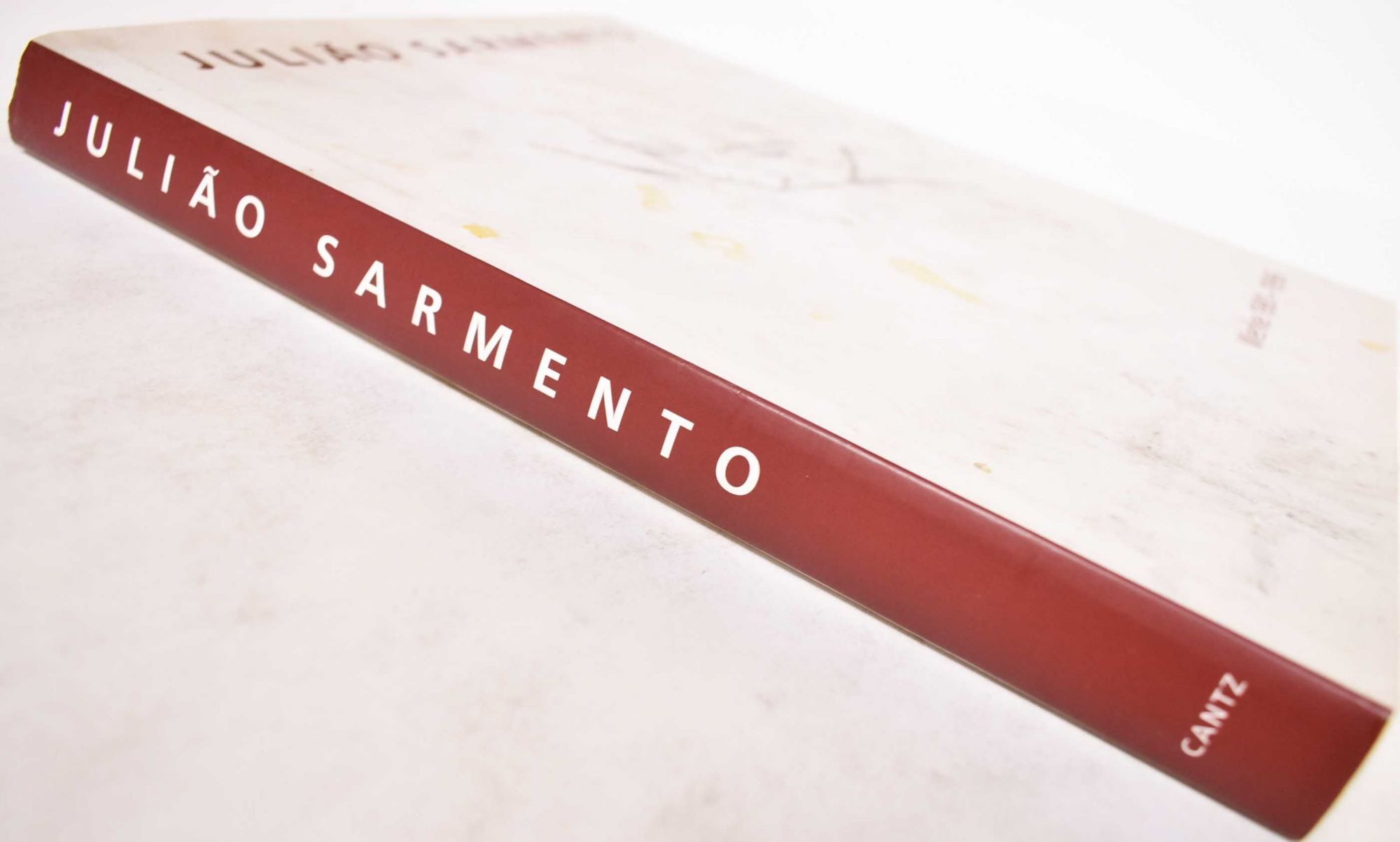 Julião Sarmento: Werke 1981-1996 | Hubertus Gassner, Nancy Spector