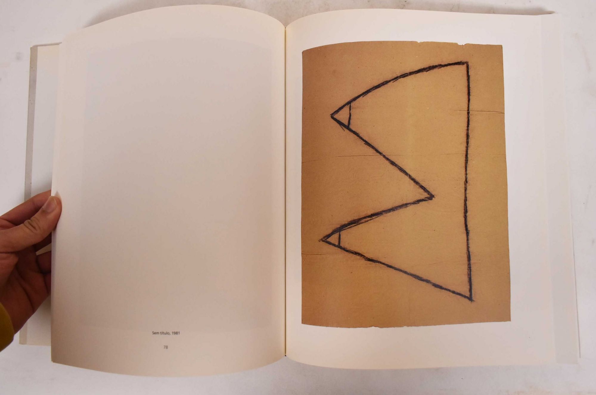 Julião Sarmento: Werke 1981-1996 | Hubertus Gassner, Nancy Spector