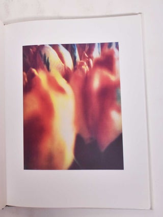 Cy Twombly Photographs