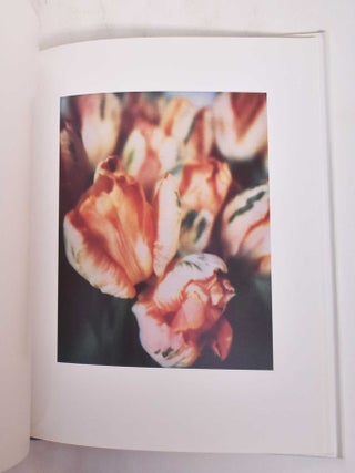 Cy Twombly Photographs