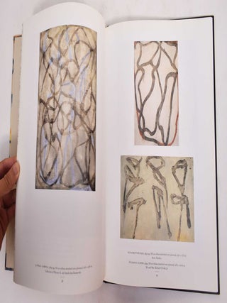 Brice Marden: Work of the 1990s: Paintings, Drawings, and Prints