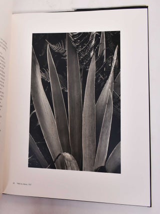 Paul Strand: an American Vision