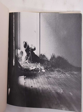 Joseph Beuys: Coyote