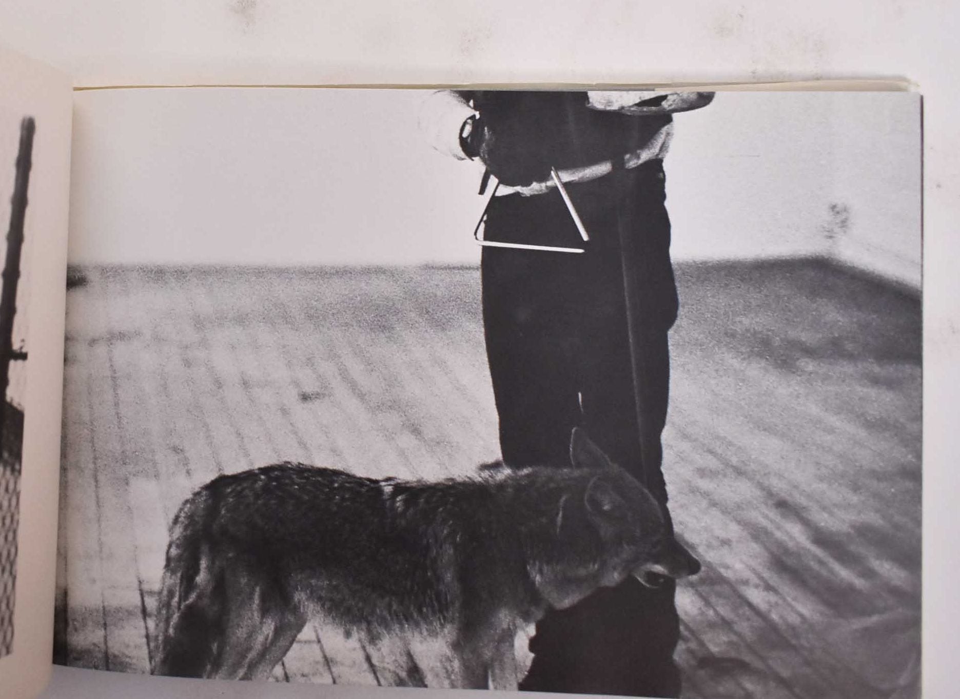 Joseph Beuys: Coyote | Caroline Tisdall, Joseph Beuys