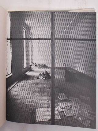 Joseph Beuys: Coyote