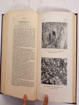 The Nidification of Birds of the Indian Empire: Volume 4, Pandionidae-Podicepidae