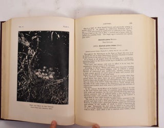 The Nidification of Birds of the Indian Empire: Volume 4, Pandionidae-Podicepidae