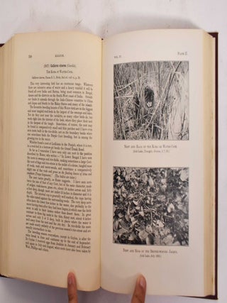 The Nidification of Birds of the Indian Empire: Volume 4, Pandionidae-Podicepidae
