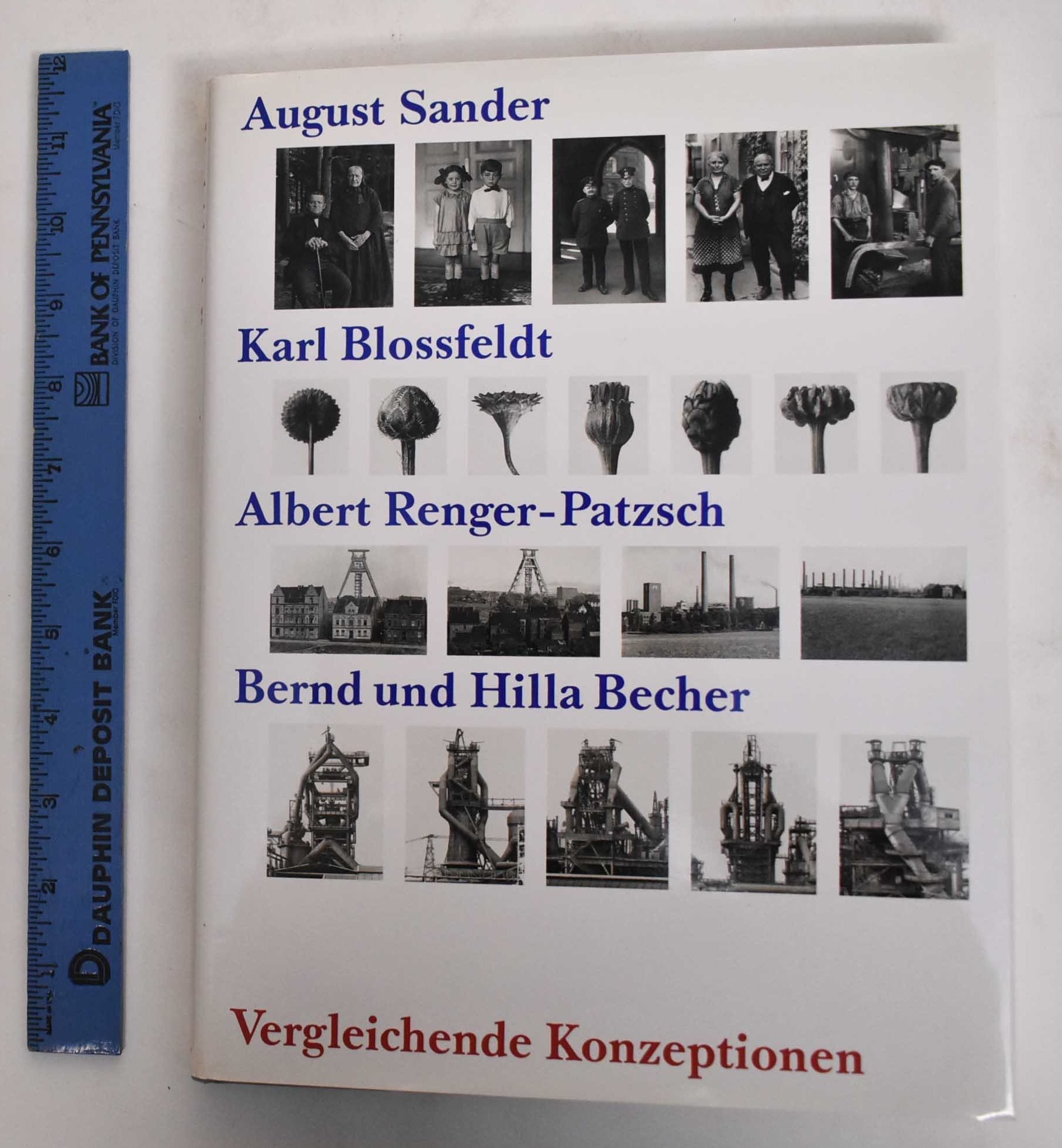 Vergleichende Konzeptionen: August Sander, Karl Blossfeldt, Albert ...