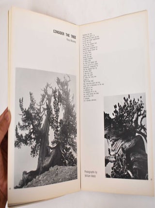 The Structurist, Annual Art Publication; Number 8, 1968; Issue on Light/Color/Space/Structure in Art and Nature