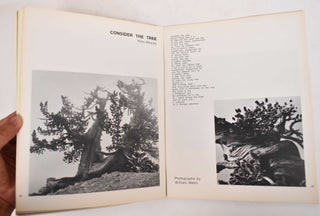 The Structurist, Annual Art Publication; Number 8, 1968; Issue on Light/Color/Space/Structure in Art and Nature