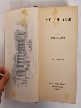 My Irish Year