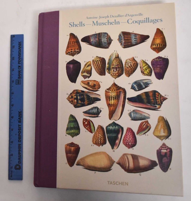 Item #178471 Shells - Muscheln - Coquillages: Conchology or the Natural History of Sea, Freshwater, Terrestrial and Fossil Shells. Antoine-Joseph Dezallier d' Argenville.