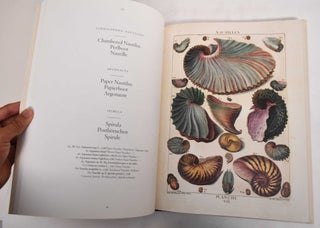 Shells - Muscheln - Coquillages: Conchology or the Natural History of Sea, Freshwater, Terrestrial and Fossil Shells